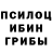 Галлюциногенные грибы мицелий Abhiraj Sehgal