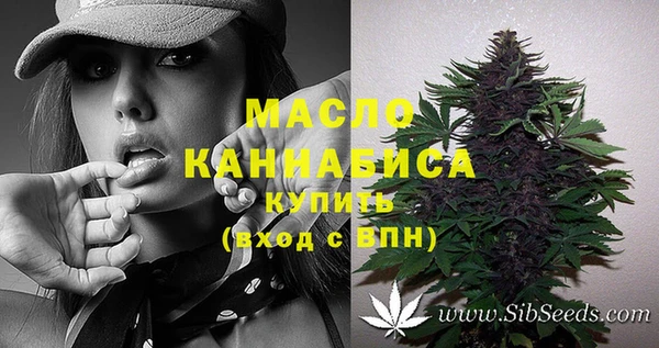 гашик Новодвинск